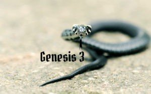 Genesis 3