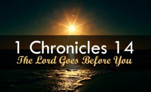 1 Chronicles 14