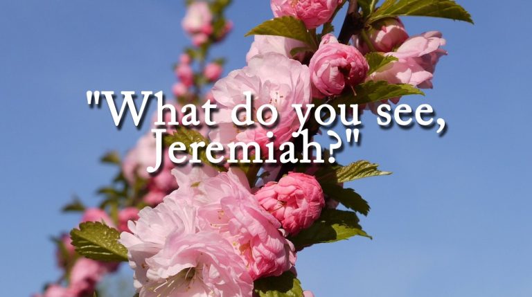 Jeremiah 1