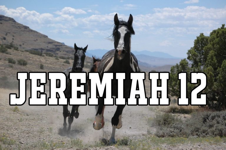 Jeremiah 12