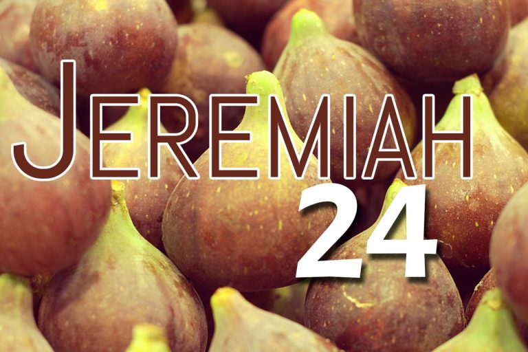 Jeremiah 24