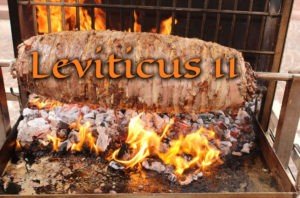 Leviticus 11