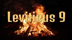 Leviticus 9