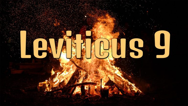 Leviticus 9