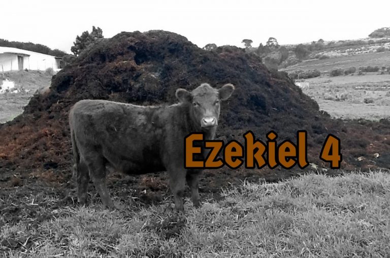 Ezekiel 4