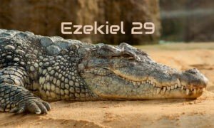 Ezekiel 29