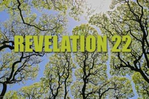 Revelation 22