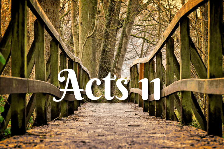 Acts 11