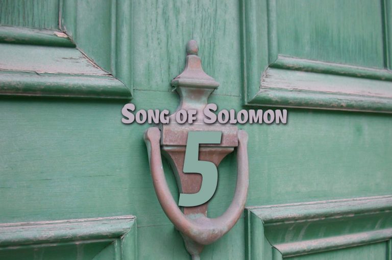 Song of Solomon 5